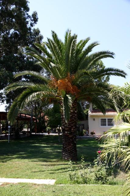 Vivere Villa
